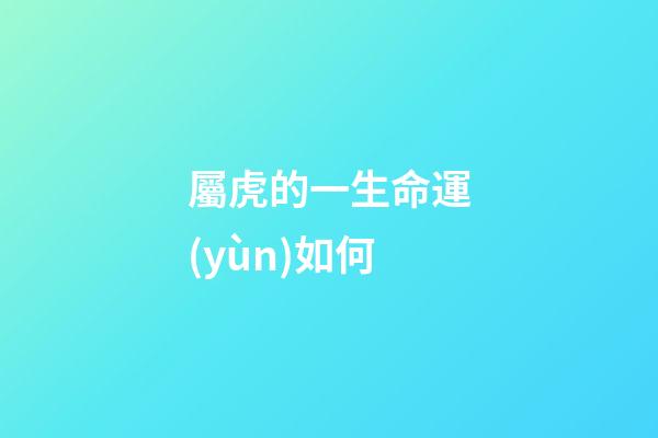 屬虎的一生命運(yùn)如何