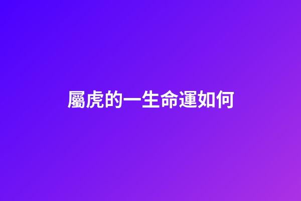 屬虎的一生命運如何