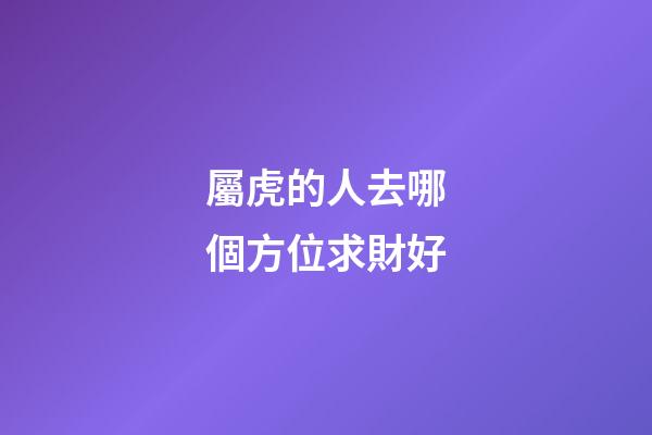 屬虎的人去哪個方位求財好