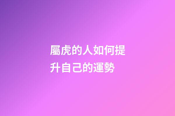 屬虎的人如何提升自己的運勢