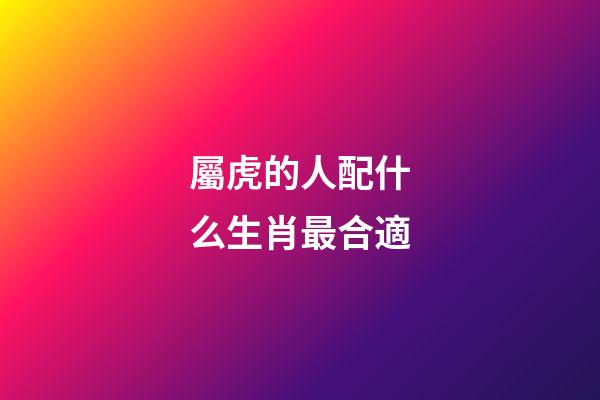 屬虎的人配什么生肖最合適