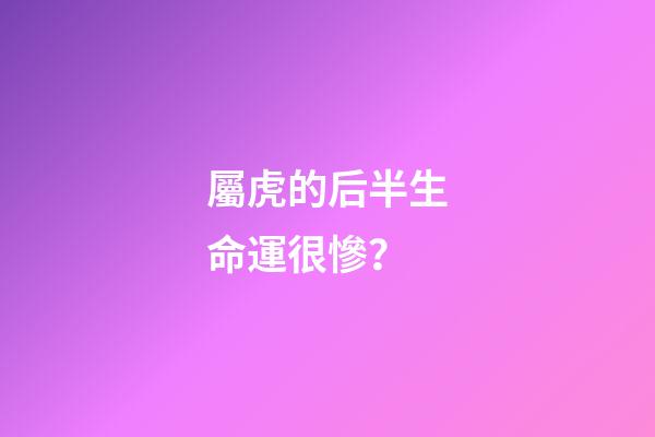 屬虎的后半生命運很慘？