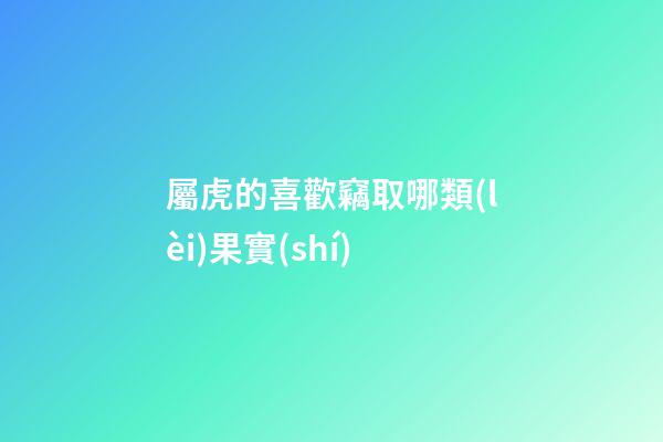 屬虎的喜歡竊取哪類(lèi)果實(shí)