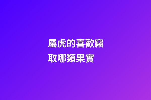 屬虎的喜歡竊取哪類果實