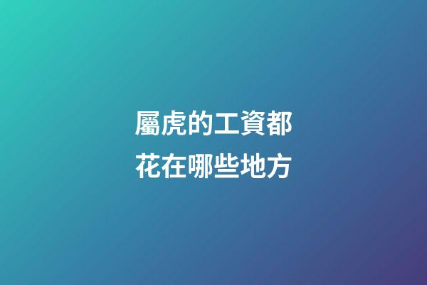 屬虎的工資都花在哪些地方