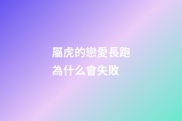 屬虎的戀愛長跑為什么會失敗