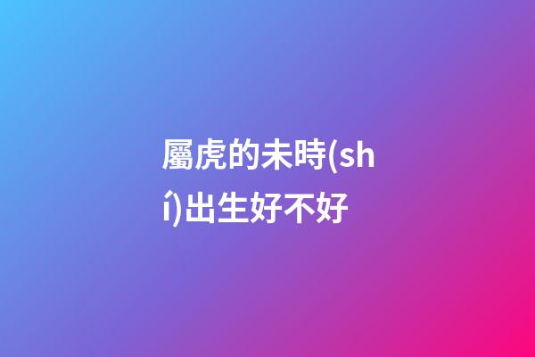 屬虎的未時(shí)出生好不好