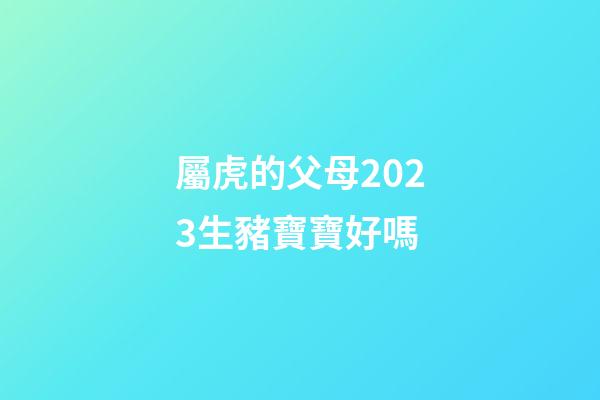 屬虎的父母2023生豬寶寶好嗎