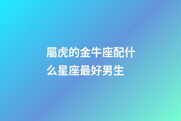 屬虎的金牛座配什么星座最好男生-第1張-星座運(yùn)勢(shì)-玄機(jī)派