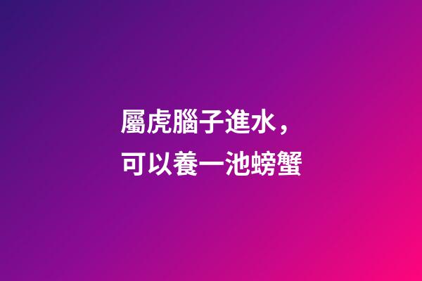 屬虎腦子進水，可以養一池螃蟹