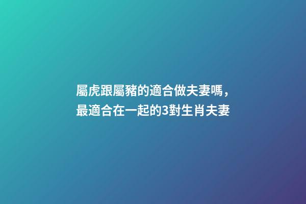 屬虎跟屬豬的適合做夫妻嗎，最適合在一起的3對生肖夫妻-第1張-觀點-玄機派