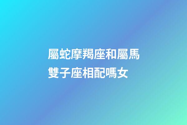 屬蛇摩羯座和屬馬雙子座相配嗎女-第1張-星座運勢-玄機派