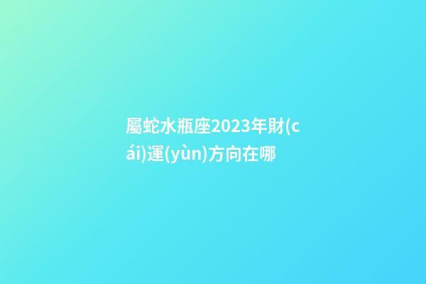 屬蛇水瓶座2023年財(cái)運(yùn)方向在哪-第1張-星座運(yùn)勢(shì)-玄機(jī)派