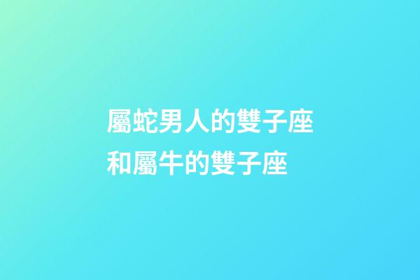 屬蛇男人的雙子座和屬牛的雙子座-第1張-星座運勢-玄機派