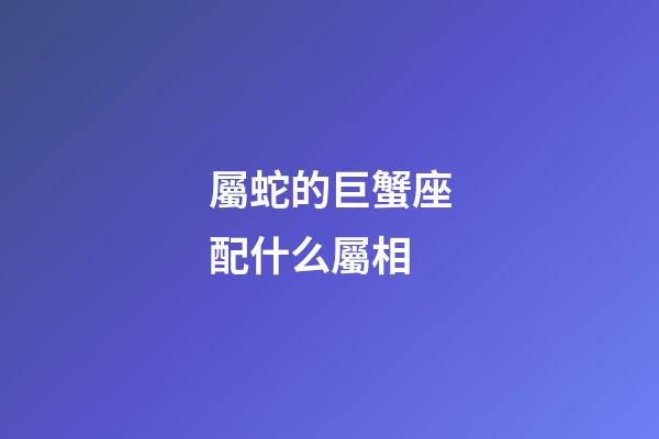 屬蛇的巨蟹座配什么屬相-第1張-星座運勢-玄機派