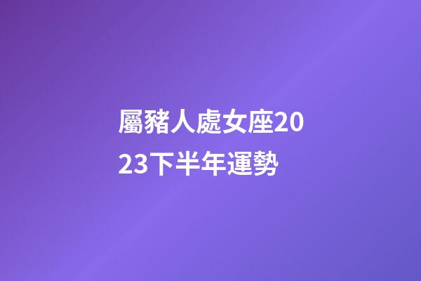 屬豬人處女座2023下半年運勢-第1張-星座運勢-玄機派