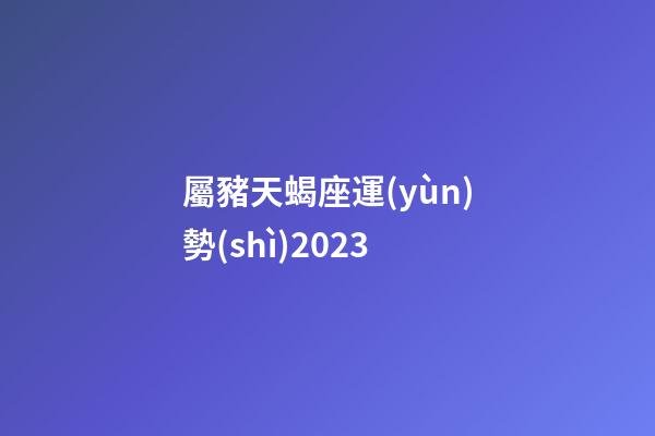 屬豬天蝎座運(yùn)勢(shì)2023-第1張-星座運(yùn)勢(shì)-玄機(jī)派