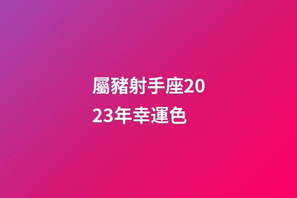 屬豬射手座2023年幸運色-第1張-星座運勢-玄機派