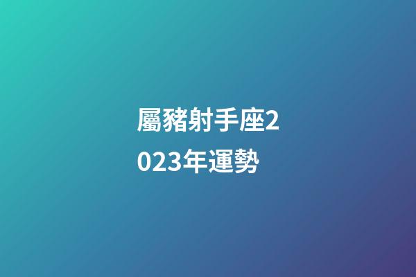 屬豬射手座2023年運勢-第1張-星座運勢-玄機派