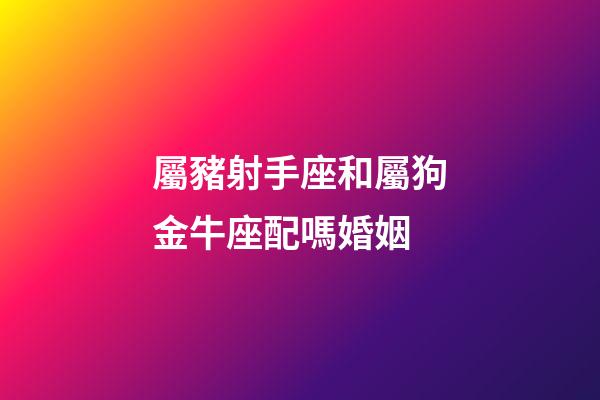 屬豬射手座和屬狗金牛座配嗎婚姻-第1張-星座運(yùn)勢-玄機(jī)派