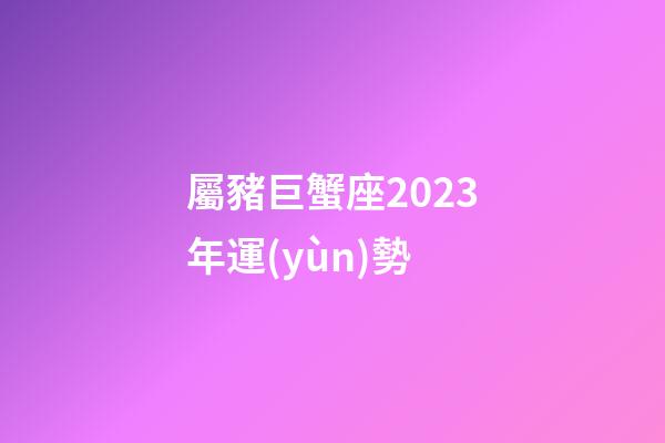屬豬巨蟹座2023年運(yùn)勢-第1張-星座運(yùn)勢-玄機(jī)派