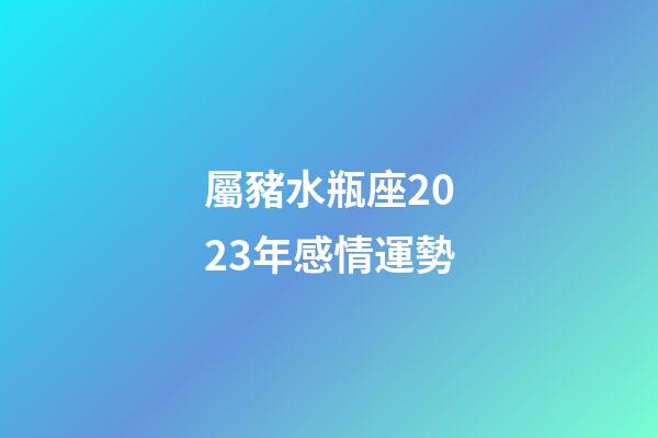 屬豬水瓶座2023年感情運勢-第1張-星座運勢-玄機派