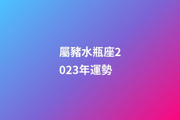 屬豬水瓶座2023年運勢-第1張-星座運勢-玄機派