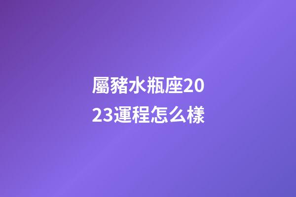 屬豬水瓶座2023運程怎么樣-第1張-星座運勢-玄機派