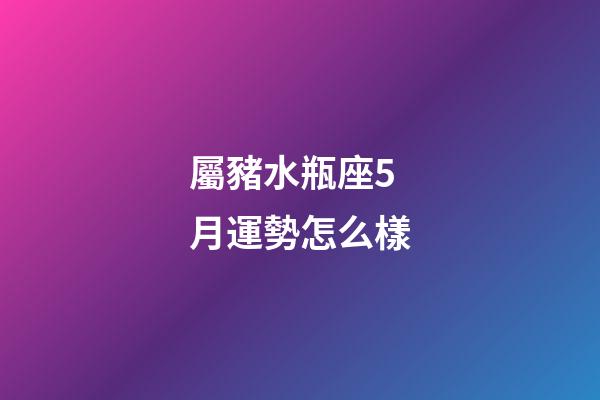屬豬水瓶座5月運勢怎么樣-第1張-星座運勢-玄機派
