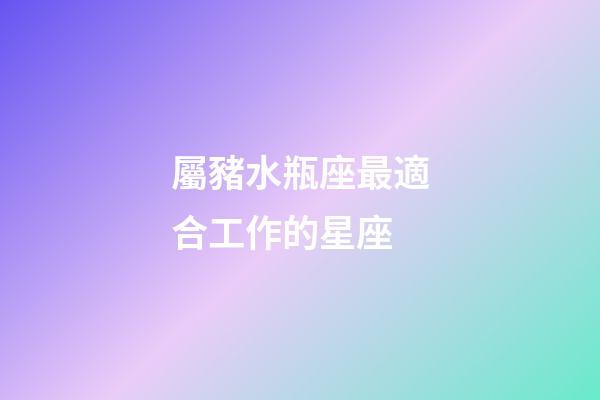 屬豬水瓶座最適合工作的星座