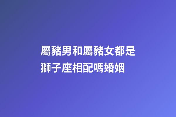 屬豬男和屬豬女都是獅子座相配嗎婚姻-第1張-星座運(yùn)勢(shì)-玄機(jī)派