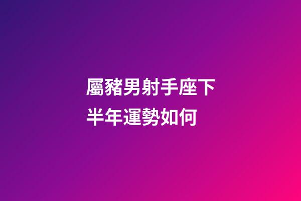 屬豬男射手座下半年運勢如何-第1張-星座運勢-玄機派