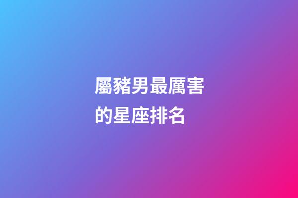 屬豬男最厲害的星座排名