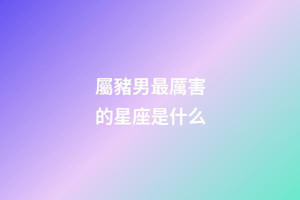 屬豬男最厲害的星座是什么