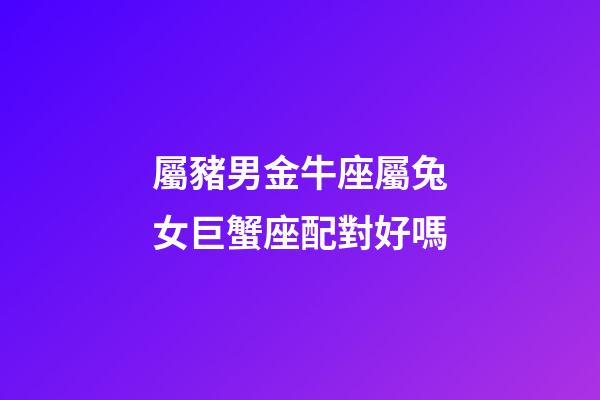 屬豬男金牛座屬兔女巨蟹座配對好嗎-第1張-星座運勢-玄機派