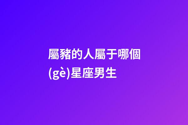 屬豬的人屬于哪個(gè)星座男生