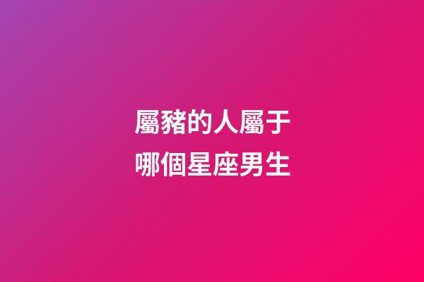屬豬的人屬于哪個星座男生-第1張-星座運勢-玄機派