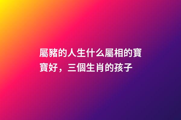 屬豬的人生什么屬相的寶寶好，三個生肖的孩子-第1張-觀點-玄機派