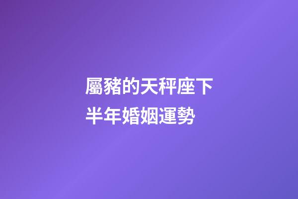 屬豬的天秤座下半年婚姻運勢-第1張-星座運勢-玄機派