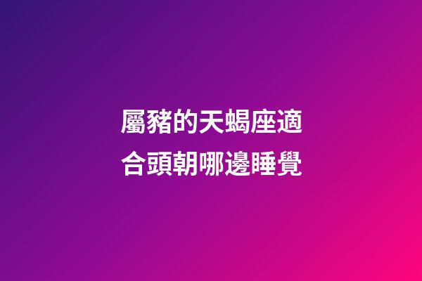 屬豬的天蝎座適合頭朝哪邊睡覺-第1張-星座運勢-玄機派