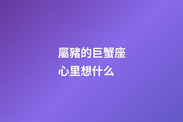 屬豬的巨蟹座心里想什么-第1張-星座運勢-玄機派