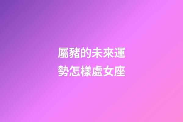 屬豬的未來運勢怎樣處女座-第1張-星座運勢-玄機派