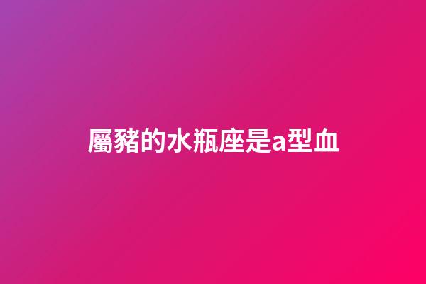 屬豬的水瓶座是a型血-第1張-星座運勢-玄機派
