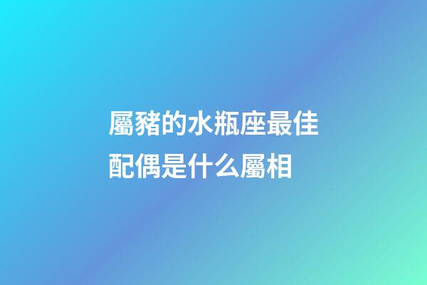 屬豬的水瓶座最佳配偶是什么屬相-第1張-星座運勢-玄機派