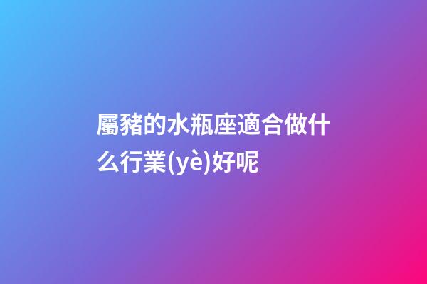 屬豬的水瓶座適合做什么行業(yè)好呢