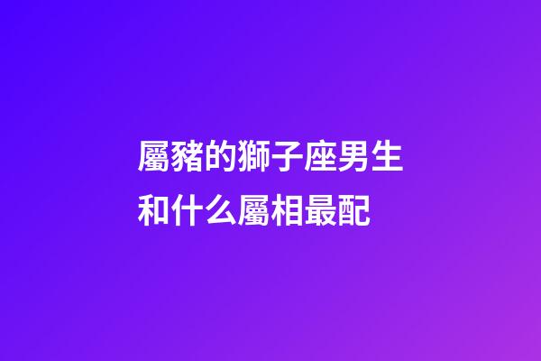 屬豬的獅子座男生和什么屬相最配-第1張-星座運勢-玄機派