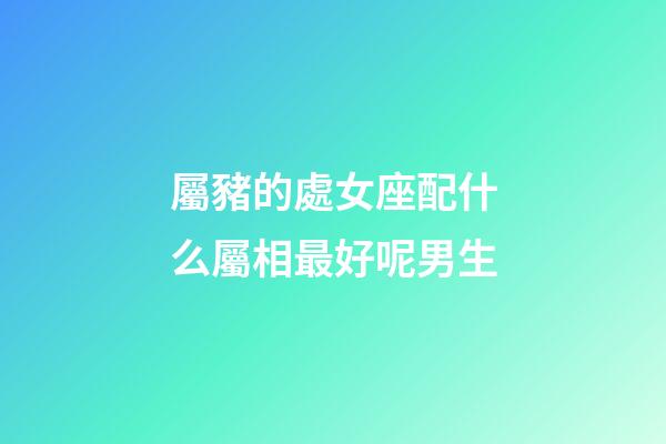 屬豬的處女座配什么屬相最好呢男生-第1張-星座運勢-玄機派