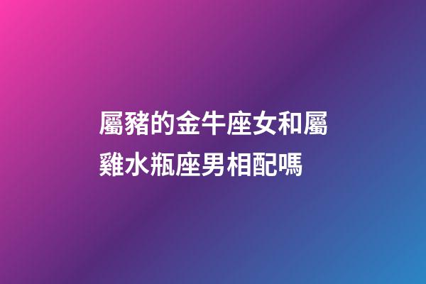 屬豬的金牛座女和屬雞水瓶座男相配嗎-第1張-星座運勢-玄機派