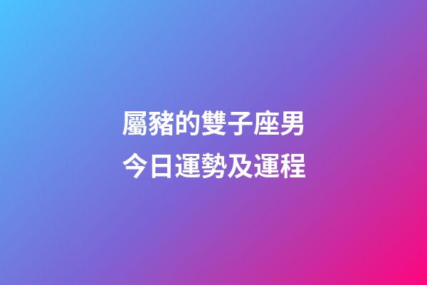 屬豬的雙子座男今日運勢及運程-第1張-星座運勢-玄機派