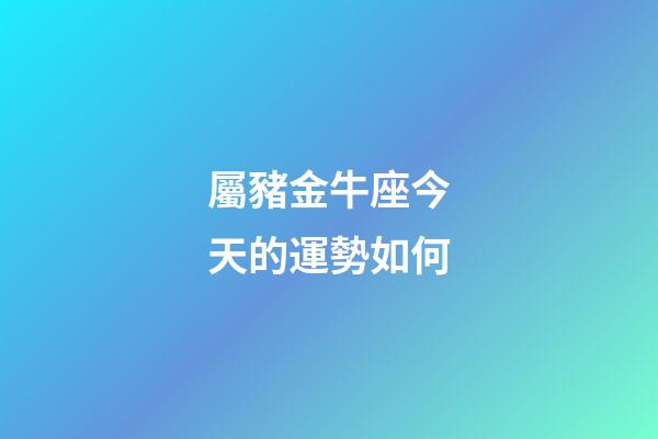 屬豬金牛座今天的運勢如何-第1張-星座運勢-玄機派